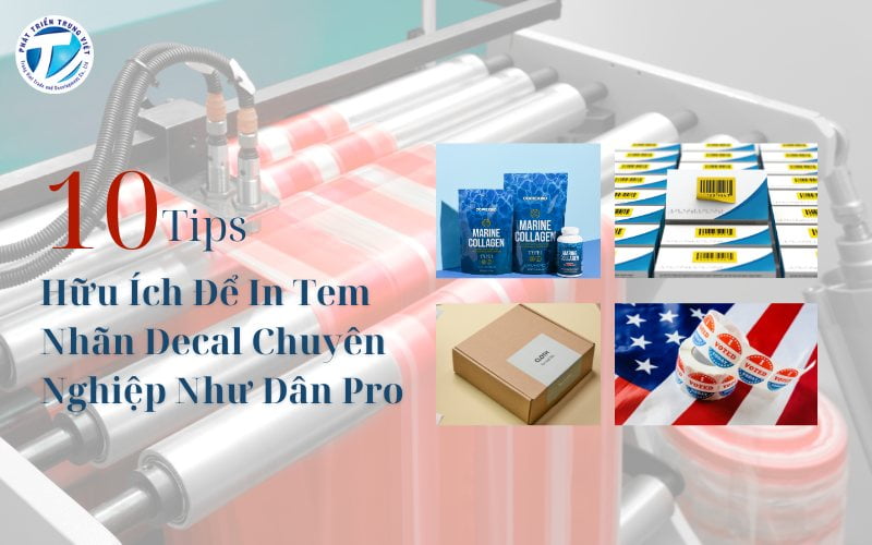 10 Tips Hữu Ích Sử Dụng Máy In Tem Nhãn Decal Chuyên Nghiệp Như Dân Pro